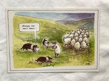 Always one. isn't there -  Sheep and sheep dogs comedy J. Arthur Dixon Postcard