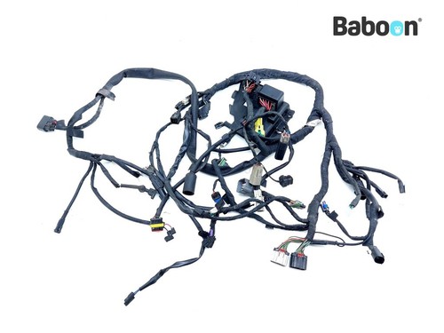 Wiring harness - harness, (main)