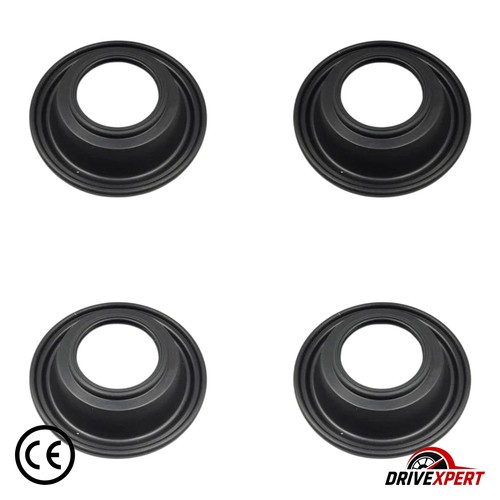 Carburetor diaphragm - 4,