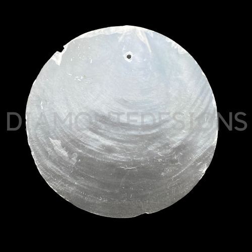 Natural shells seashells - natural,