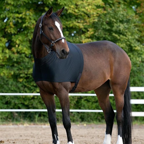 Stretch horse shoulder guard - horse,