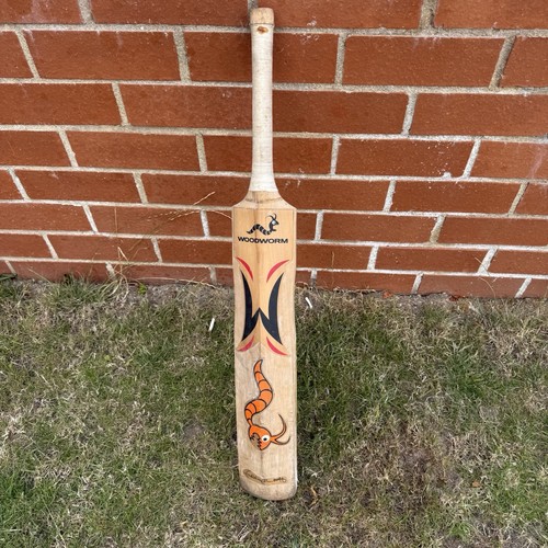 Woodworm freddie flintoff - freddie,