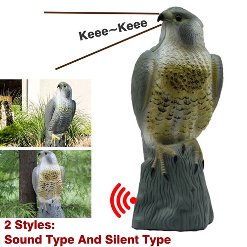 Large falcon bird deterrent - bird,