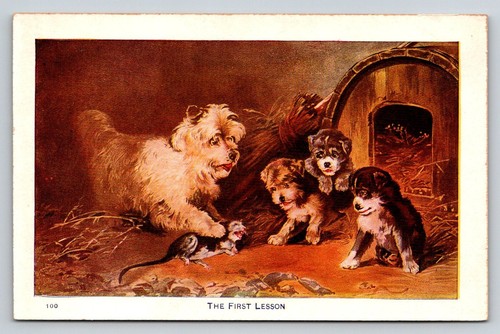 Vintage dog postcard - dog, the