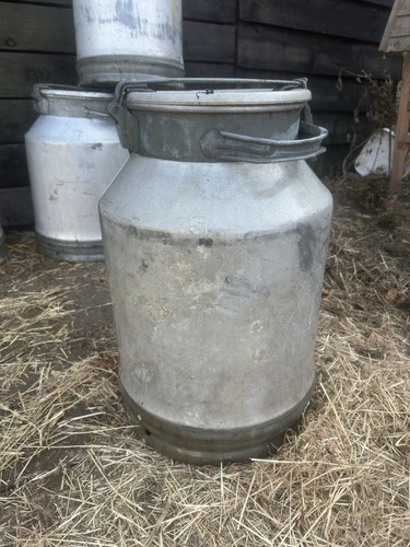 Milk churn - milk,