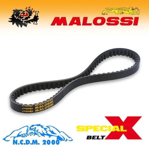 Malossi 619221 transmission - 619221,