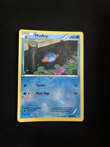 Mudkip 160 mint pokemon - mudkip, 33/160