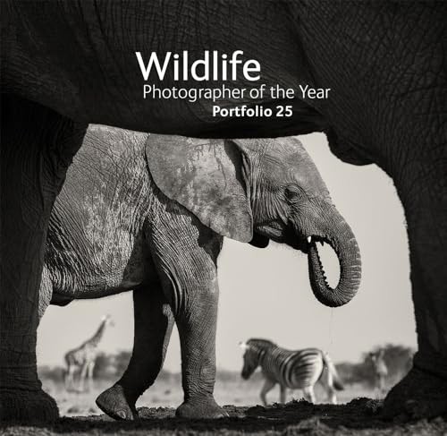 Wildlife photographer the - wildlife,
