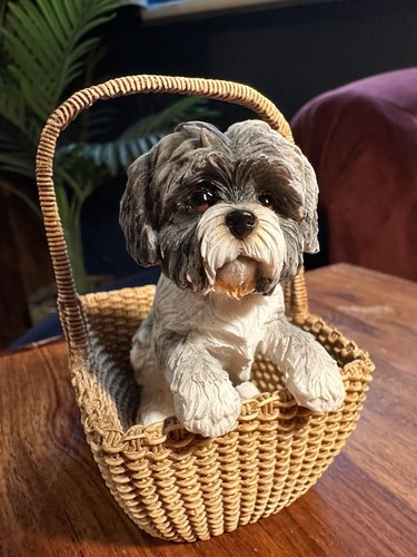 Leonardo dog studies - leonardo, tzu