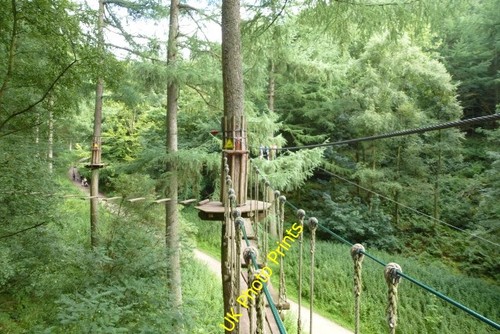 Photo 6x4 ape low - 6x4, go