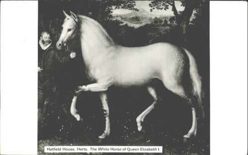 Hatfield house herts - house, white