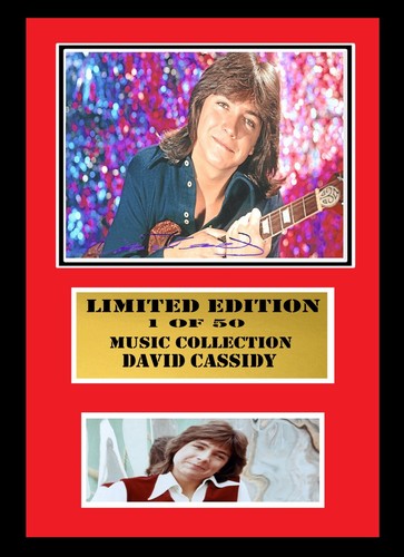 David cassidy signed - ,