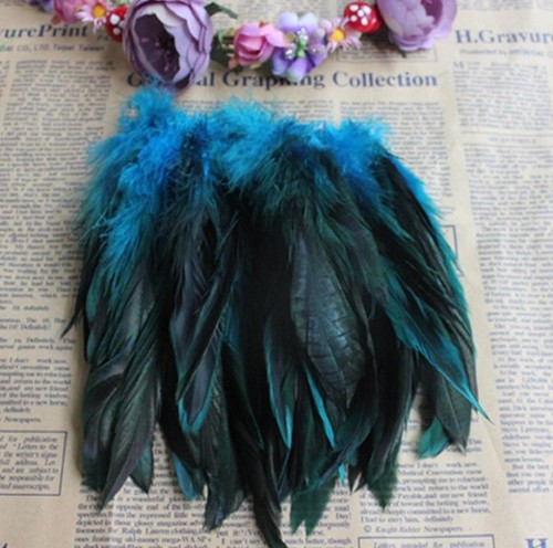 Rooster tail feathers many - tail,