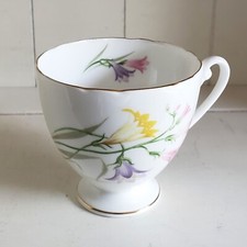 Shelley Ripon Freesia China