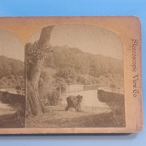 Stereoview card real - card, 3d