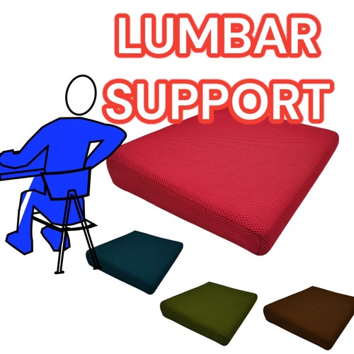 Seat lumbar cushion memory - seat,