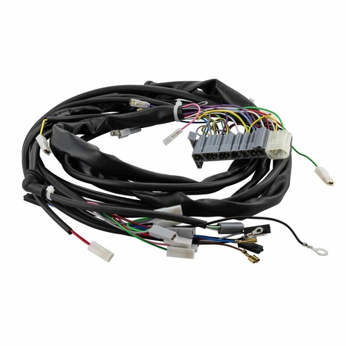 Sip electric system piaggio - electric,