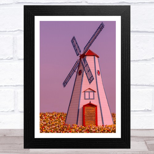 Windmill collection design - collection, 7