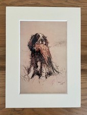 Spaniel Dog Print By Cecil