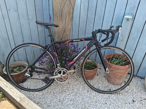 Claud butler roubaix - claud,