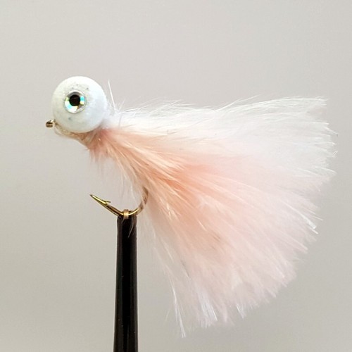 Coral booby fly fishing - coral,