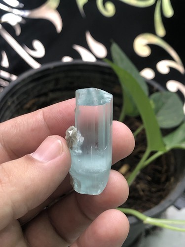 Rough aquamarine crystal - rough,