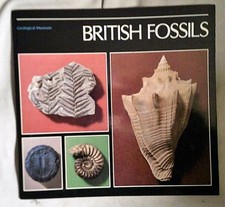 British Fossils - British