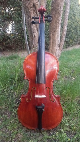 Old violin - violin,