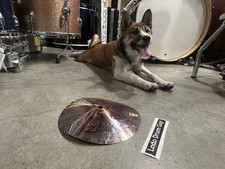8" Zildjian ZXT TRASHFORMER