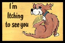 Im Itching To See You Dog
