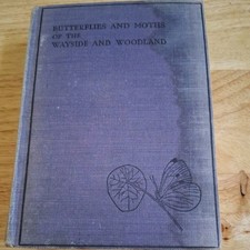 Butterflies and moths of the