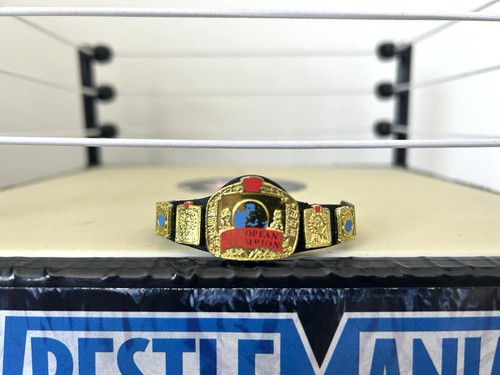 Wwe european championship - european, belt