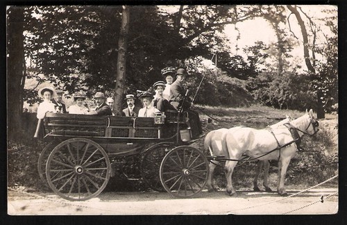Douglas posted horse - douglas, &