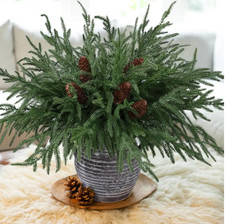 12Pcs Artificial Norfolk Pine