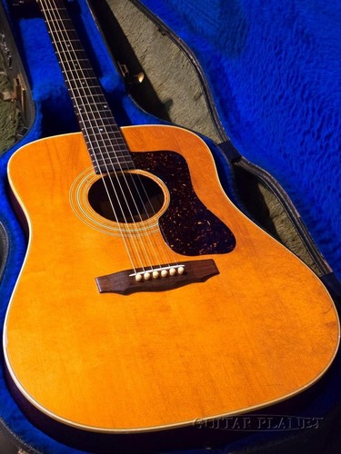Guild 1979 vintage - 1979, d-40