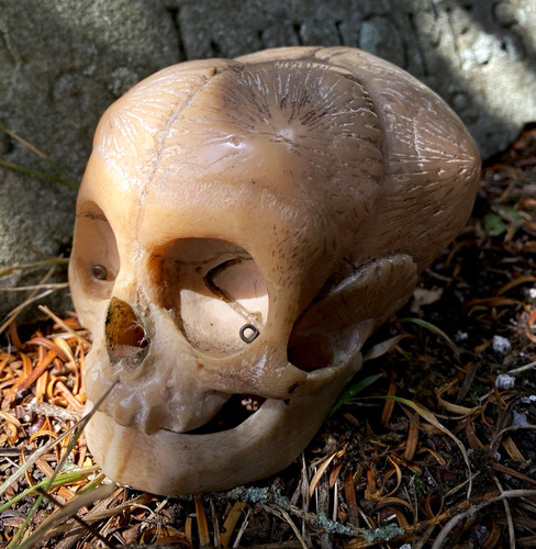 Early 20th century resin - century,