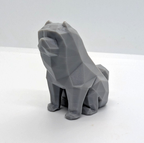 Chow dog home - dog,