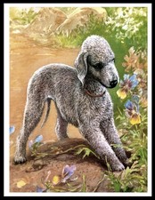 BEDLINGTON TERRIER DOG ART