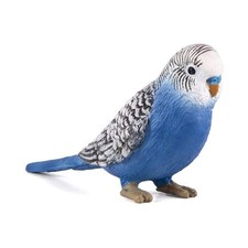 MOJO Budgerigar Blue Bird