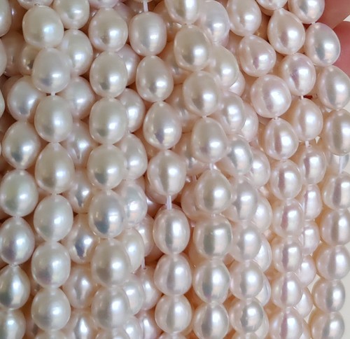 Freshwater pearls ivory - pearls, white