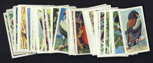 Brooke bond tropical - brooke,