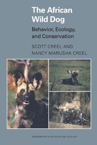 The african wild - african, dog