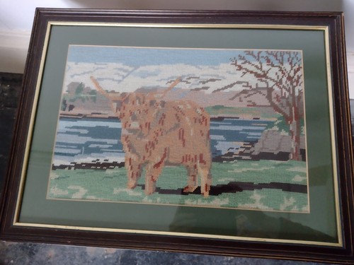 Framed finished highland cow - highland,