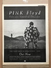 PINK FLOYD DELICATE SOUND OF