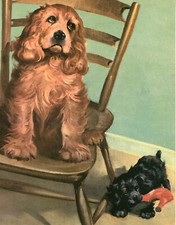 COCKER SPANIEL NAUGHTY PUPPY LOVELY VINTAGE 1950'S WESLEY DENNIS DOG ART PRINT