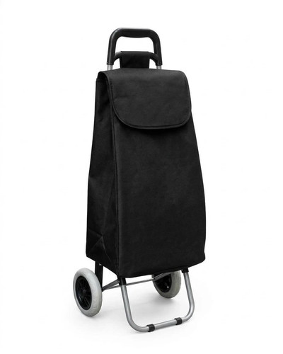 Shopping cart large - cart,