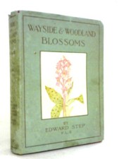 Wayside And Woodland Blossoms