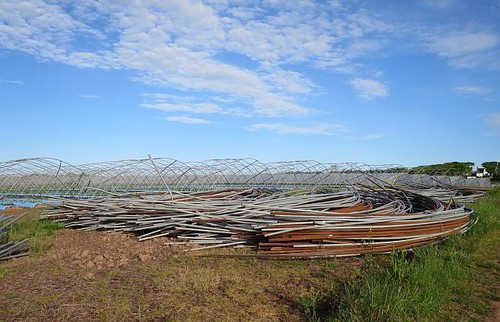 Photo 6x4 polytunnel - photo,