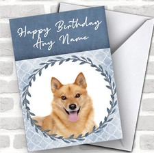 Finnish Spitz Dog Blue Animal