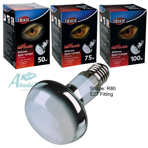 Basking spot lamp - spot-lamp, infrared
